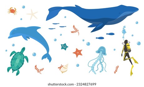 Vector illustration set of sea creatures such as dolphins and whales.