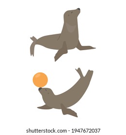 Ilustración vectorial de león marino
