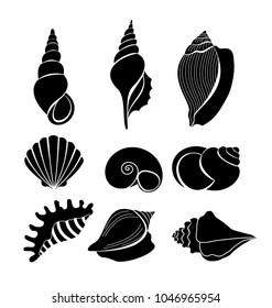 Vector illustration set of sea shells black silhouettes isolated on white background.