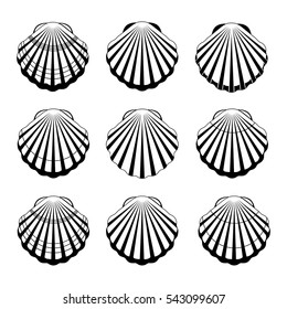 Vector Illustration. Set sea shells silhouette.