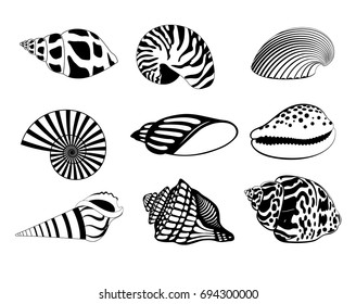 Vector Illustration. Set sea shells silhouette.