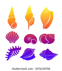 Vector illustration set of seashells, bright colored sea shells silhouette isolated on white background.