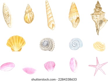 Vector illustration set of seashells painted by watercolor