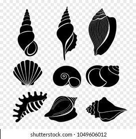 Vector illustration set of seashells silhouettes isolated on transparent background.