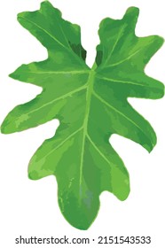 vector illustration , Set of Separate parts and bring together to beautiful leaf of plants  on white background
