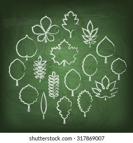Vector illustration: set of seventeen white hand drawn chalk contour icons of different tree leaves isolated on stylized green school chalk board background