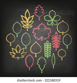 Vector illustration: set of seventeen white hand drawn varicolored chalk contour icons of different tree leaves isolated on stylized black school chalk board background