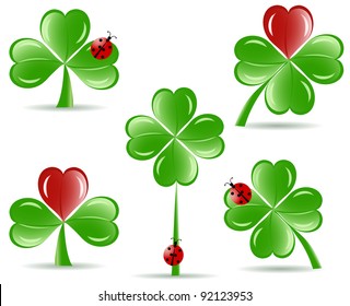 vector illustration of set of   shamrocks with four lucky leaves ladybug isolated on white background.  St. Patrick's day theme