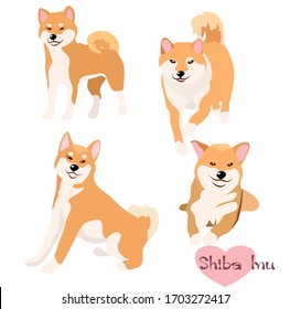  Vector illustration set of Shiba Inu dog in deferent pose. Hand draw on white background.