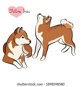 Vector illustration set of Shiba Inu dog in deferent pose. Hand drawn on white background.