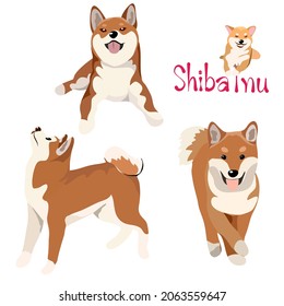 Vector illustration set of Shiba Inu dog in different poses. Hand drawn on white background.