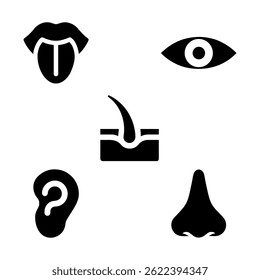 Um conjunto de ilustrações vetoriais mostrando os principais órgãos sensoriais humanos em estilo de silhueta preta limpa. Esse vetor educacional inclui ícones do olho, ouvido, nariz, língua e pele (toque).