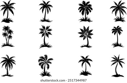 Vector Illustration Set Showcasing Various Variants of Palm Trees, Isolated on a White Background.