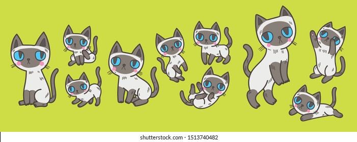 Vector illustration set of Siamese house domestic cat in many positions and activities