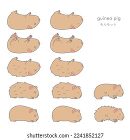 Vector illustration set of sick guinea pig (pet, for experiment)