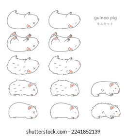 Vector illustration set of sick guinea pig (pet, for experiment)