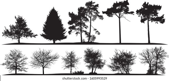 vector illustration of a set of silhouettes of natural trees on a white background 