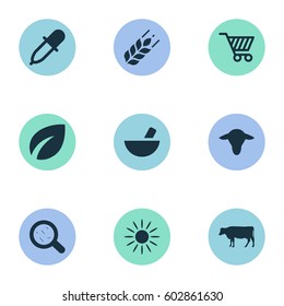 Vector Illustration Set Of Simple Agricultural Icons. Elements Leaves, Medicament, Cart And Other Synonyms Livestock Cow, Sunlight And Magnifier.