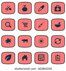 Vector Illustration Set Of Simple Agricultural Icons. Elements Medical Kit, Cow, Leaves And Other Synonyms Medical, Vaccine And Dropper.