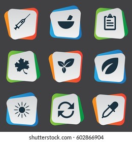 Vector Illustration Set Of Simple Agricultural Icons. Elements Sunshine, Leaves, Plant And Other Synonyms Leaves, Data And Information.