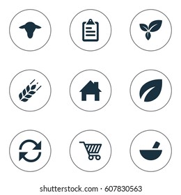 Vector Illustration Set Of Simple Agricultural Icons. Elements Buffalo, Leaves, Medicament And Other Synonyms Wheat, Cattle And List.