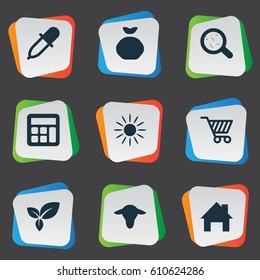 Vector Illustration Set Of Simple Agricultural Icons. Elements Buffalo, Calculator, Sunshine And Other Synonyms Insolation, Sunshine And Leaves.