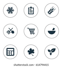 Vector Illustration Set Of Simple Agricultural Icons. Elements Medicament, Wheat, Leaf And Other Synonyms Accounting, Leaves And Flora.