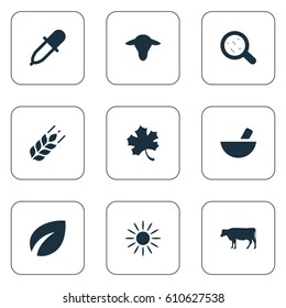 Vector Illustration Set Of Simple Agriculture Icons. Elements Medicament, Wheat, Cow And Other Synonyms Medicament, Grass And Cattle.