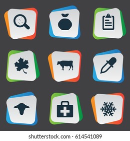 Vector Illustration Set Of Simple Agriculture Icons. Elements Pipette, List, Sack And Other Synonyms Cattle, Medicine And Buffalo.
