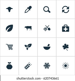 Vector Illustration Set Of Simple Agriculture Icons. Elements Leaves, Horticulture Equipment, Wheat And Other Synonyms Gardening, Frond And Sack.