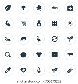 Vector Illustration Set Of Simple Agriculture Icons. Elements Medical Kit, Truck, Helianthus And Other Synonyms Garnet, Pipette And Fruit.