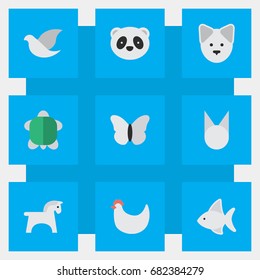 Vector Illustration Set Of Simple Animals Icons. Elements Pigeon, Wolf, Moth And Other Synonyms Perch, Tortoise And Butterfly.