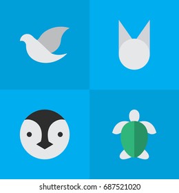Vector Illustration Set Of Simple Animals Icons. Elements Pigeon, Turtle, Flightless Bird And Other Synonyms Cat, Pigeon And Flightless.