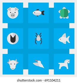 Vector Illustration Set Of Simple Animals Icons. Elements Tortoise, Steed, Tarantula And Other Synonyms Tortoise, Animal And Milk.