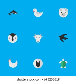 Vector Illustration Set Of Simple Animals Icons. Elements Turtle, Flightless Bird, Cock And Other Synonyms Cute, Milk And Tortoise.