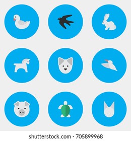 Vector Illustration Set Of Simple Animals Icons. Elements Piggy, Hare, Cat And Other Synonyms Tortoiseshell, Piggy And Crane.