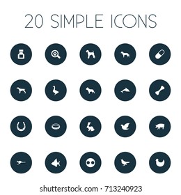 Vector Illustration Set Of Simple Animals Icons. Elements Pig, Bunny, Waterbird And Other Synonyms Canine, Bird And Pooch.