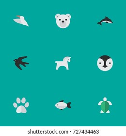 Vector Illustration Set Of Simple Animals Icons. Elements Sparrow , Panda , Perch Synonyms Penguin, Dolphin And Flightless.