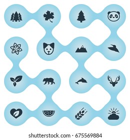 Vector Illustration Set Of Simple Bio Icons. Elements Grain, Plant, Bear And Other Synonyms Slice, Grampus And Panda.