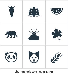 Vector Illustration Set Of Simple Bio Icons. Elements Frond, Jungle, Cloud And Other Synonyms Animal, Polar And Sun.
