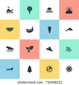 Vector Illustration Set Of Simple Bio Icons. Elements Orca, Tropical Fruit, Sea And Other Synonyms Watermelon, Spruce And Cloud.