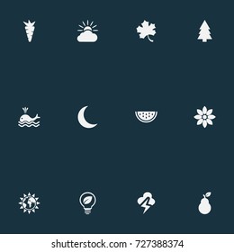 Vector Illustration Set Of Simple Bio Icons. Elements Lightning, Frond, Bloom And Other Synonyms Root, Sun And Moon.