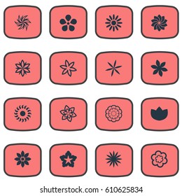 Vector Illustration Set Of Simple Blossom Icons. Elements Narcissus, Crocus, Lilac And Other Synonyms Lily, Lilac And Narcissus.