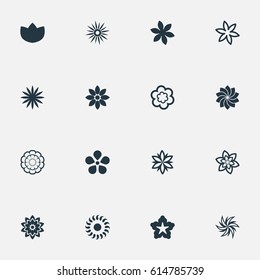 Vector Illustration Set Of Simple Blossom Icons. Elements Gerberas;, Narcissus, Camomile And Other Synonyms Saffron, Morning Glory And Water Lily.