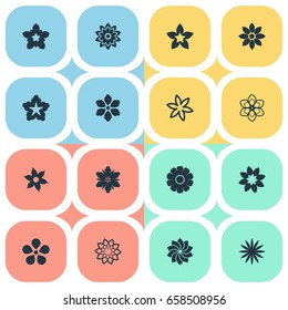 Vector Illustration Set Of Simple Blossom Icons. Elements Aster, Florist, Tulip And Other Synonyms Bouquet, Florist And Delphinium.
