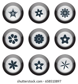 Vector Illustration Set Of Simple Blossom Icons. Elements Camomile, Helianthus, Daisy And Other Synonyms Daffodils, Marguerite And Florist.