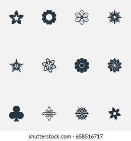 Vector Illustration Set Of Simple Blossom Icons. Elements Bloom, Jonquil, Hibiscus And Other Synonyms Windflower, Dahlia And Gerberas.