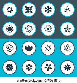Vector Illustration Set Of Simple Blossom Icons. Elements Ornament, Sunflower, Larkspur And Other Synonyms Larkspur, Tulip And Floral.