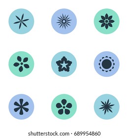 Vector Illustration Set Of Simple Blossom Icons. Elements Floret, Larkspur, Delphinium And Other Synonyms Ornament, Delphinium And Stephanotis.