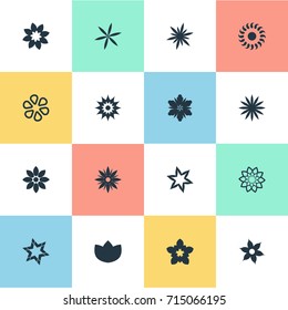 Vector Illustration Set Of Simple Blossom Icons. Elements Petal, Gerberas, Ranunculus And Other Synonyms Chrysanthemums, Anemone And Glory.